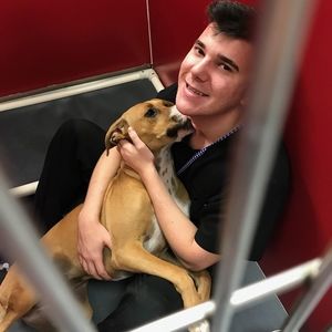 Meet your Posher, Samuel